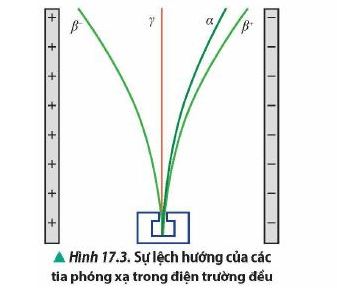 Vật Lí 12 trang 113 Chân trời sáng tạo: Thảo luận 3