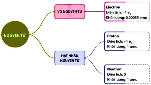 Hóa 10 trang 19 Chân trời sáng tạo: Vận dụng