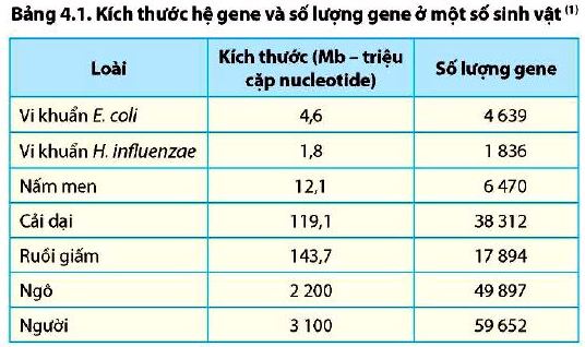 Câu hỏi 1 Sinh 12 trang 22 Chân trời sáng tạo