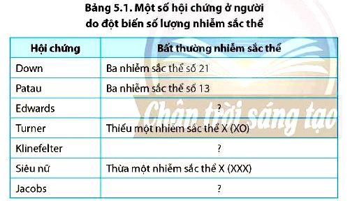 Sinh 12 trang 38 Chân trời sáng tạo: Câu hỏi 8