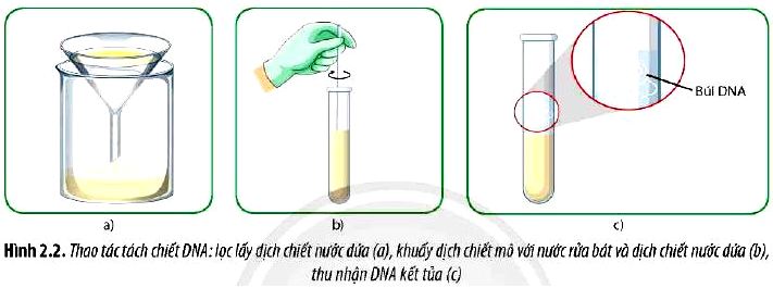 Thao tác tách Chiết DNA