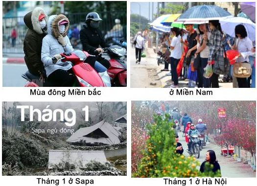 Vận dụng trang 21 Địa lí 12 Chân trời sáng tạo