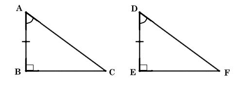 Hai tam giác vuông bằng nhau khi 1 góc vuông và 1 góc nhọn bằng nhau